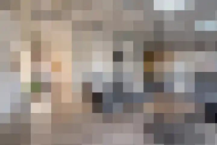 Van Haeringenstraat 89 Dedemsvaart thumbnail 20