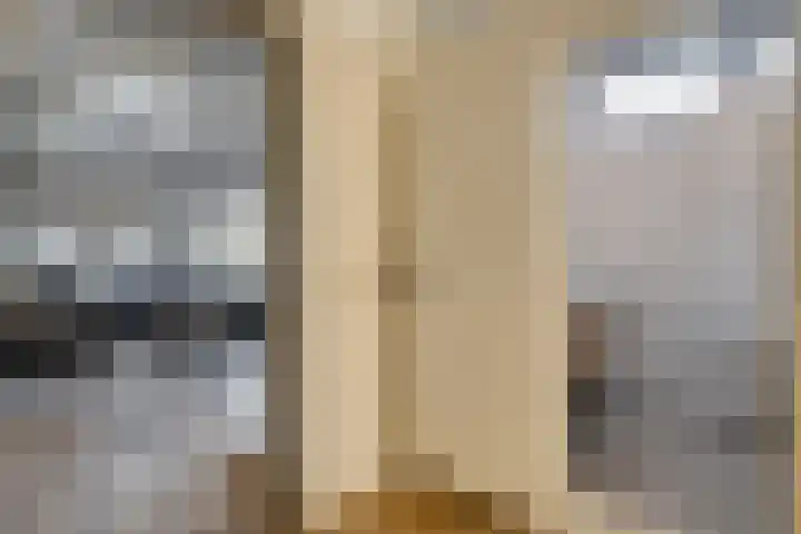 Van Haeringenstraat 89 Dedemsvaart thumbnail 29