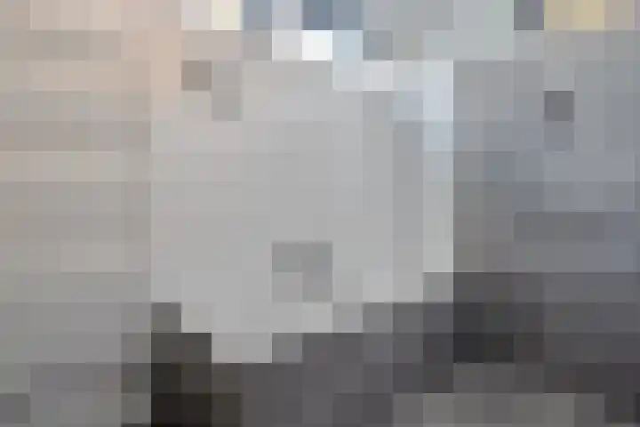 Van Haeringenstraat 89 Dedemsvaart thumbnail 31