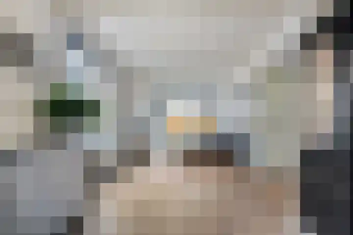 Van Haeringenstraat 89 Dedemsvaart thumbnail 34