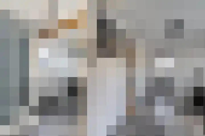Van Haeringenstraat 89 Dedemsvaart thumbnail 44