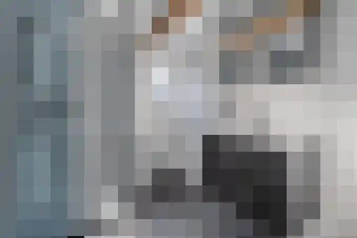 Van Haeringenstraat 89 Dedemsvaart thumbnail 47