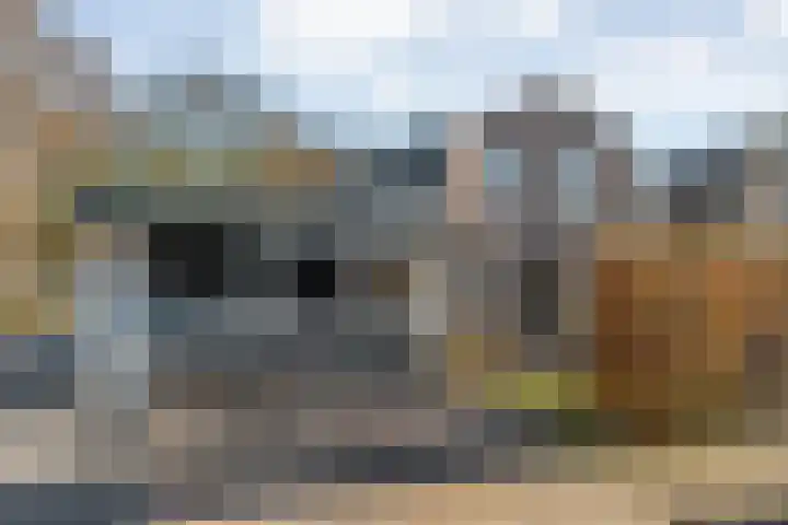 Van Haeringenstraat 89 Dedemsvaart thumbnail 5