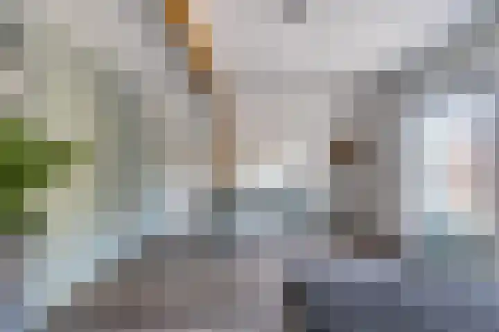 Van Haeringenstraat 89 Dedemsvaart thumbnail 51