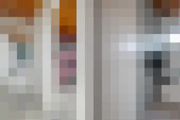 Van Haeringenstraat 89 Dedemsvaart thumbnail 52