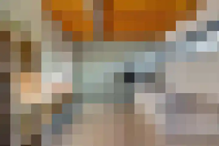 Van Haeringenstraat 89 Dedemsvaart thumbnail 54