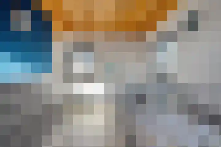 Van Haeringenstraat 89 Dedemsvaart thumbnail 58