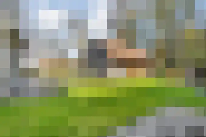 Van Haeringenstraat 89 Dedemsvaart thumbnail 63