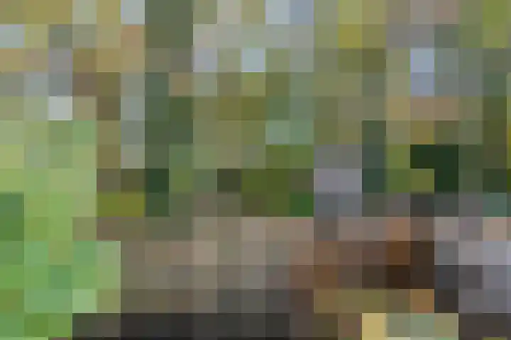 Van Haeringenstraat 89 Dedemsvaart thumbnail 65
