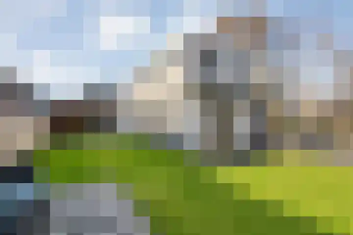 Van Haeringenstraat 89 Dedemsvaart thumbnail 67