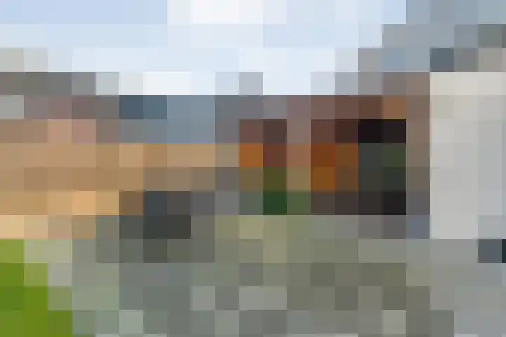 Van Haeringenstraat 89 Dedemsvaart thumbnail 69