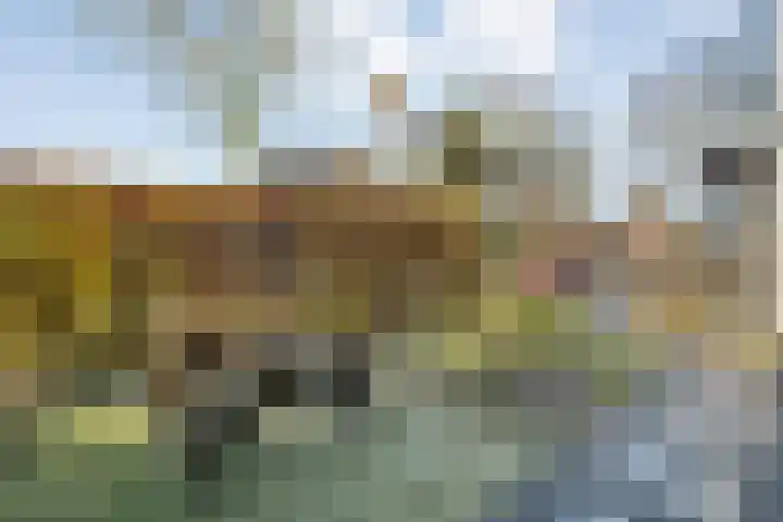 Van Haeringenstraat 89 Dedemsvaart thumbnail 7