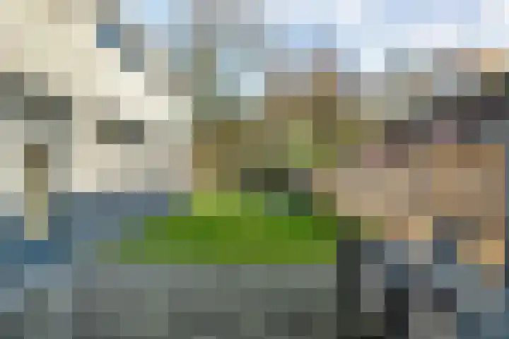 Van Haeringenstraat 89 Dedemsvaart thumbnail 70