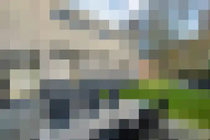 Van Haeringenstraat 89 Dedemsvaart thumbnail 71