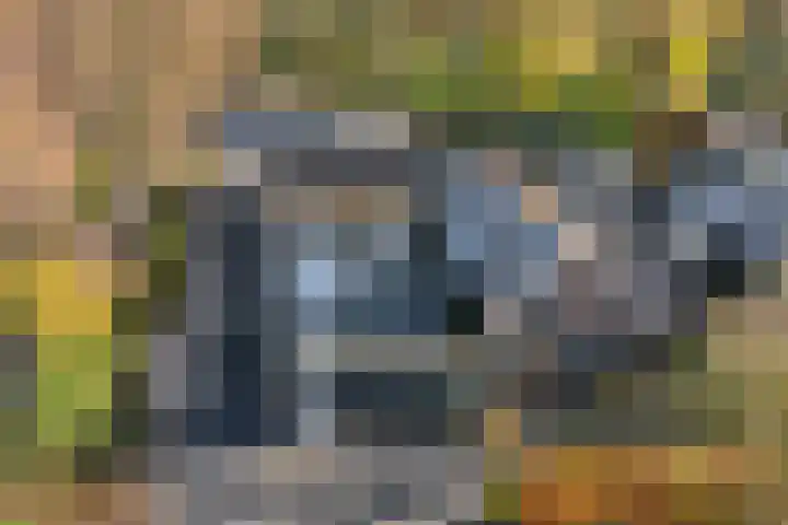 Van Haeringenstraat 89 Dedemsvaart thumbnail 76