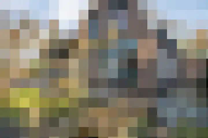Van Haeringenstraat 89 Dedemsvaart thumbnail 8