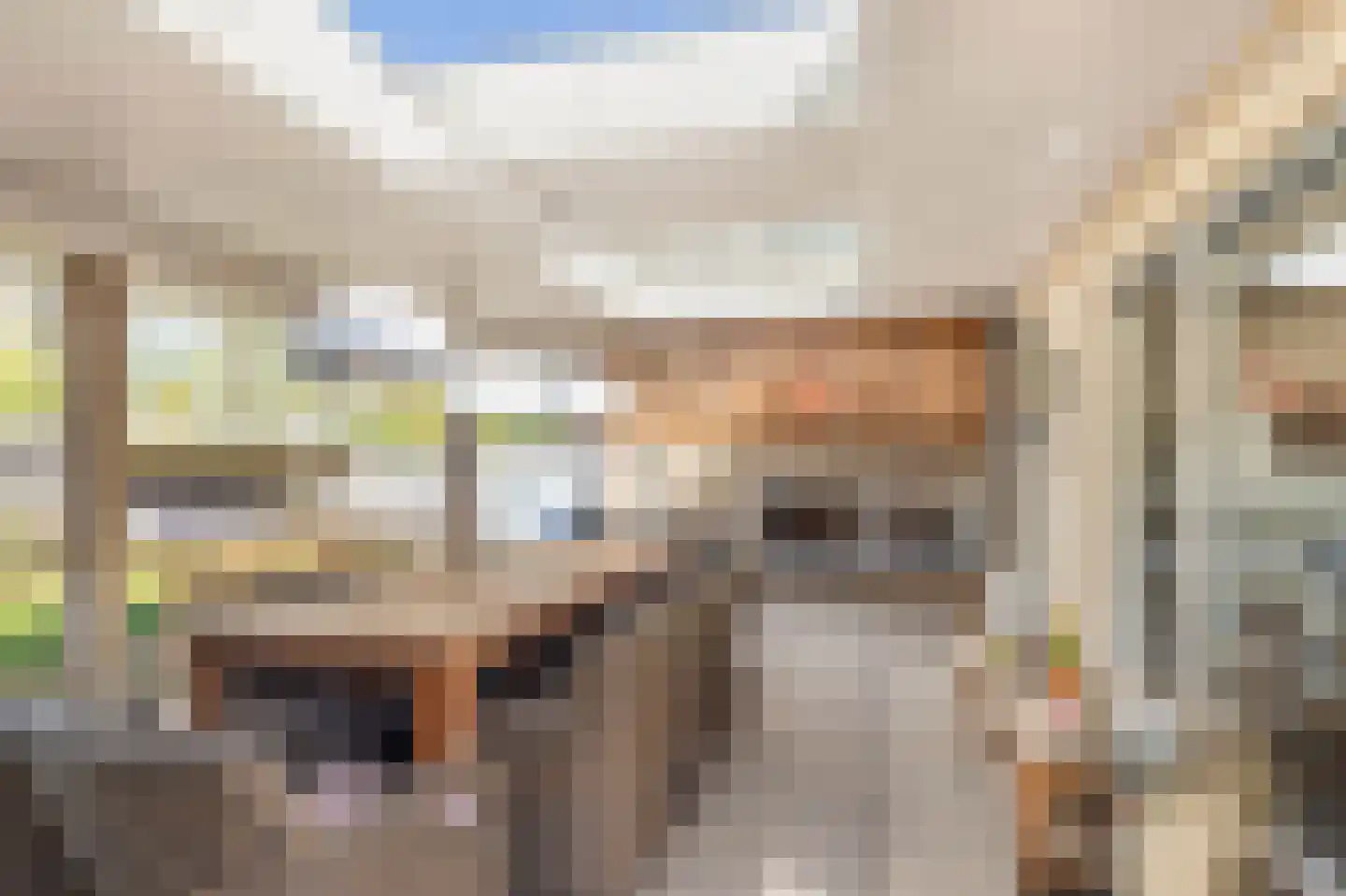 Van Haerlemlaan 9 Castricum thumbnail 26