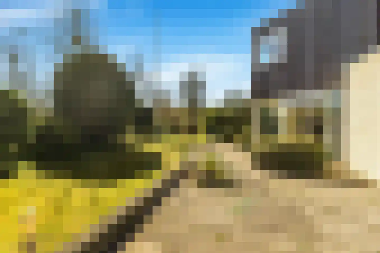 Van Haerlemlaan 9 Castricum thumbnail 5