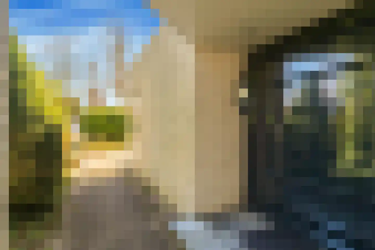 Van Haerlemlaan 9 Castricum thumbnail 6