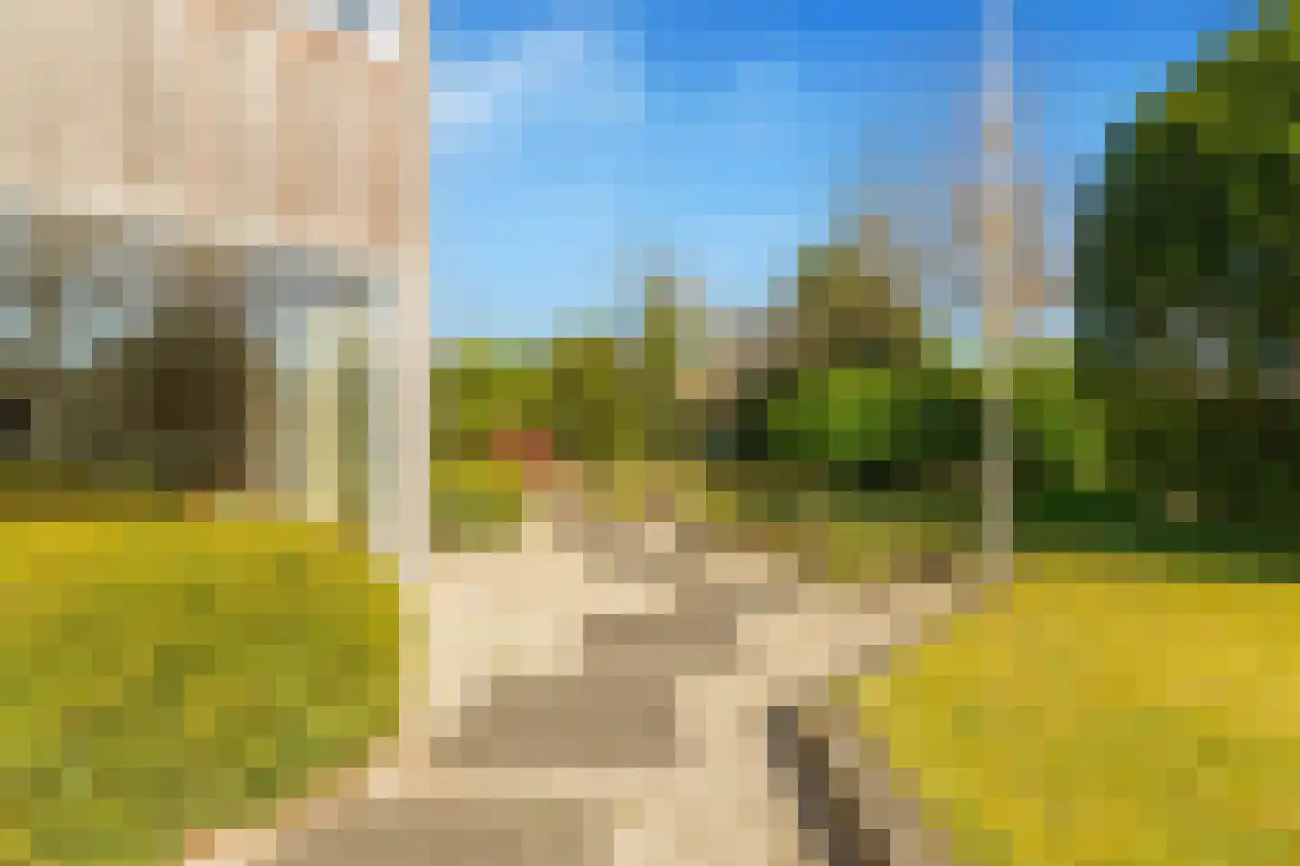 Van Haerlemlaan 9 Castricum thumbnail 62