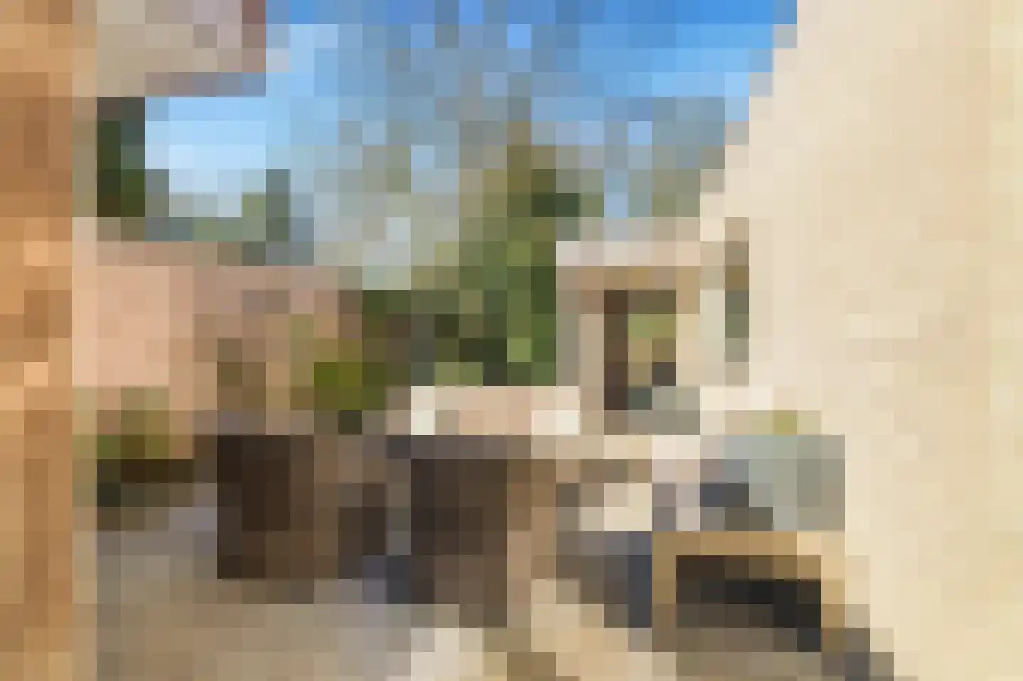 Van Haerlemlaan 9 Castricum thumbnail 64