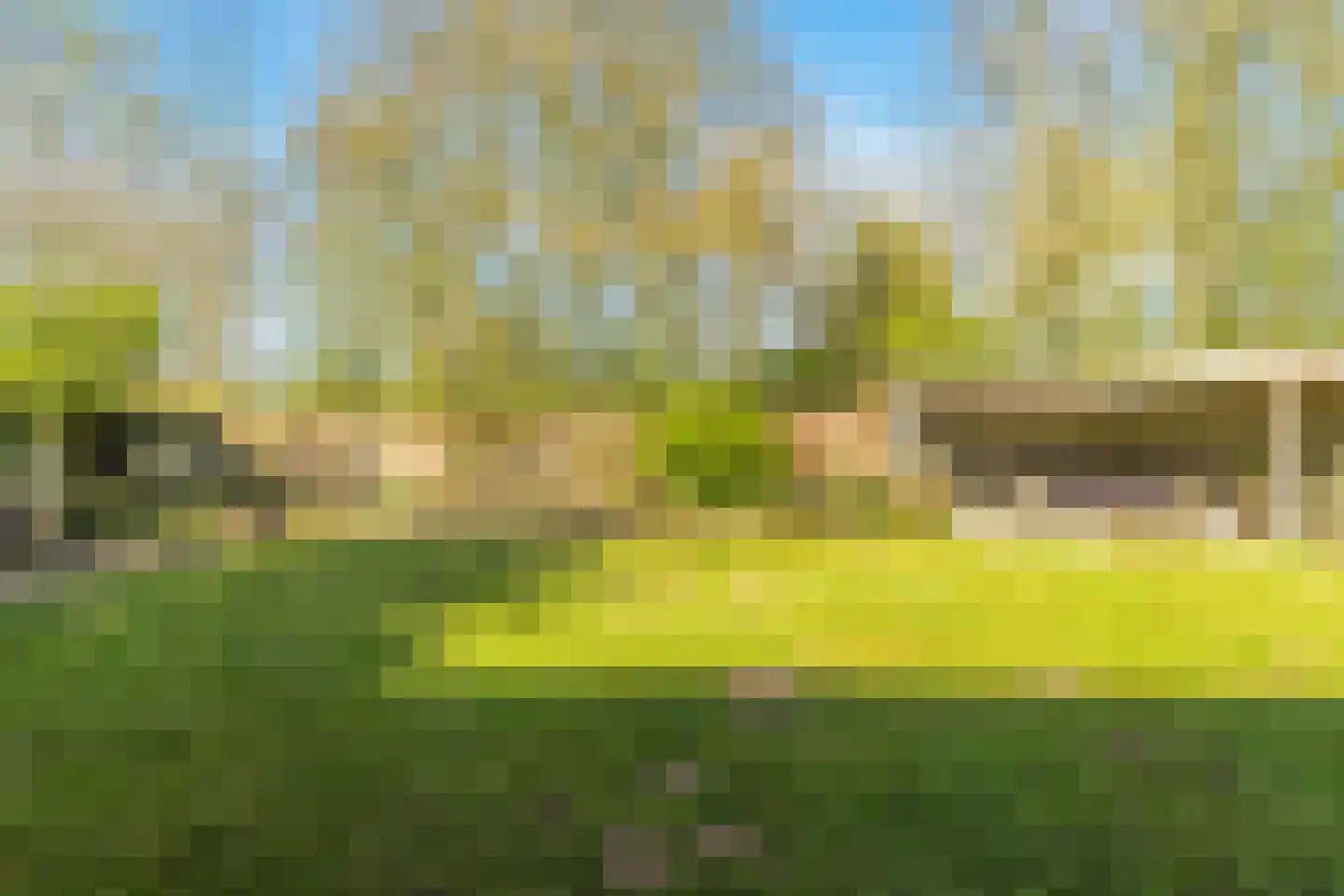 Van Haerlemlaan 9 Castricum thumbnail 67