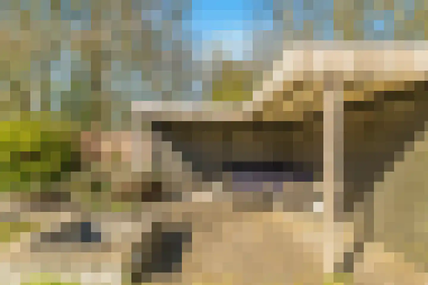 Van Haerlemlaan 9 Castricum thumbnail 68