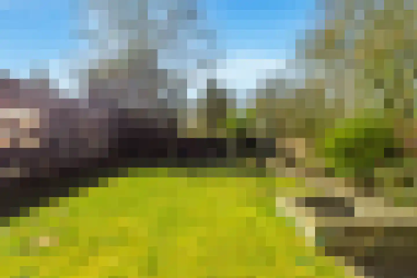 Van Haerlemlaan 9 Castricum thumbnail 70