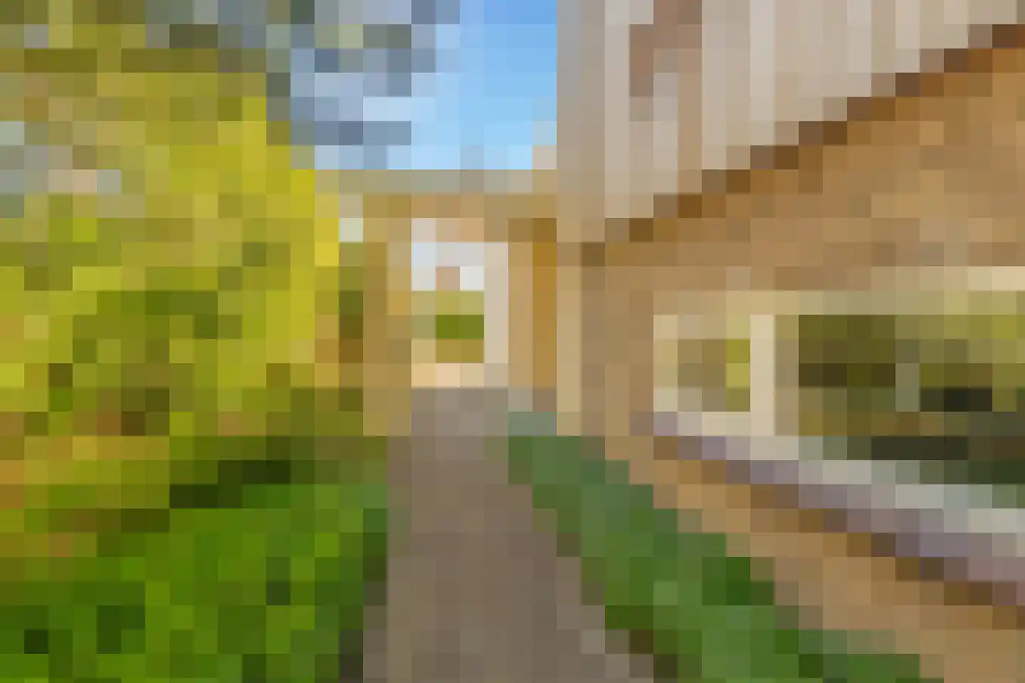 Van Haerlemlaan 9 Castricum thumbnail 73
