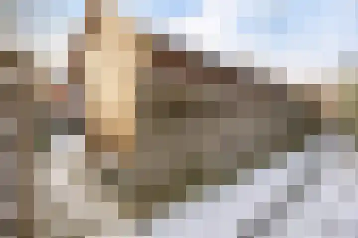 Van Haersmaplein 21 Drachten thumbnail 36