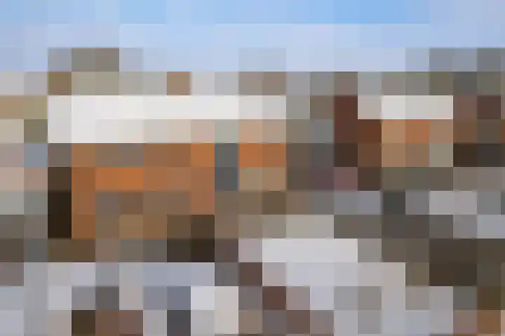 Van Haersmaplein 21 Drachten thumbnail 46