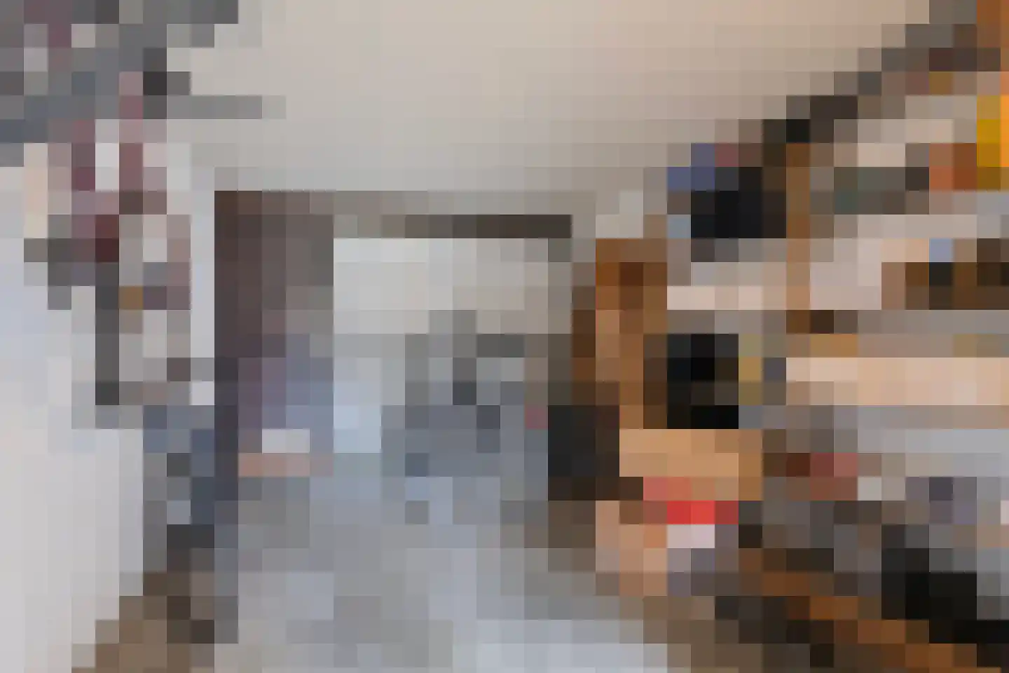 Van Haersmasingel 12 Oentsjerk thumbnail 18