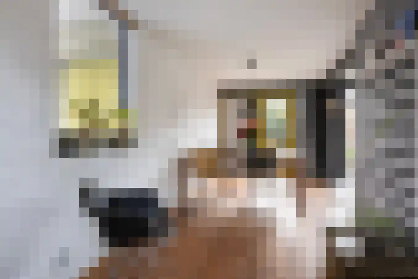 Van Haersmasingel 12 Oentsjerk thumbnail 6