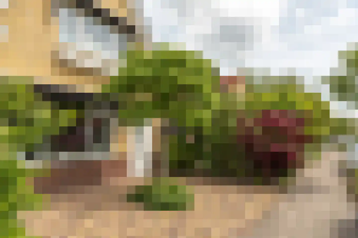 Van Haersmasingel 13 Drachten thumbnail 51