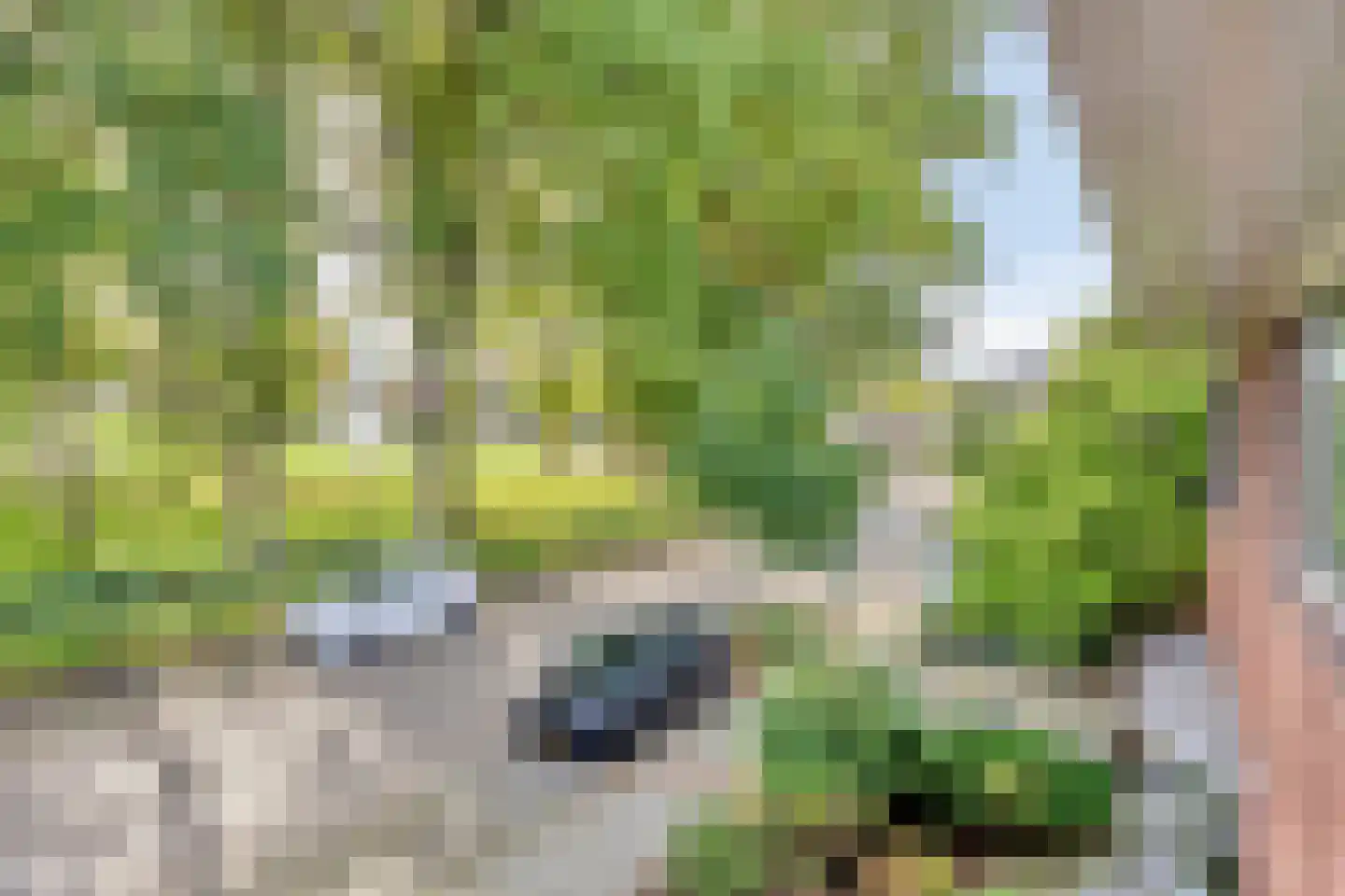 Van Haersmasingel 3 Drachten thumbnail 12
