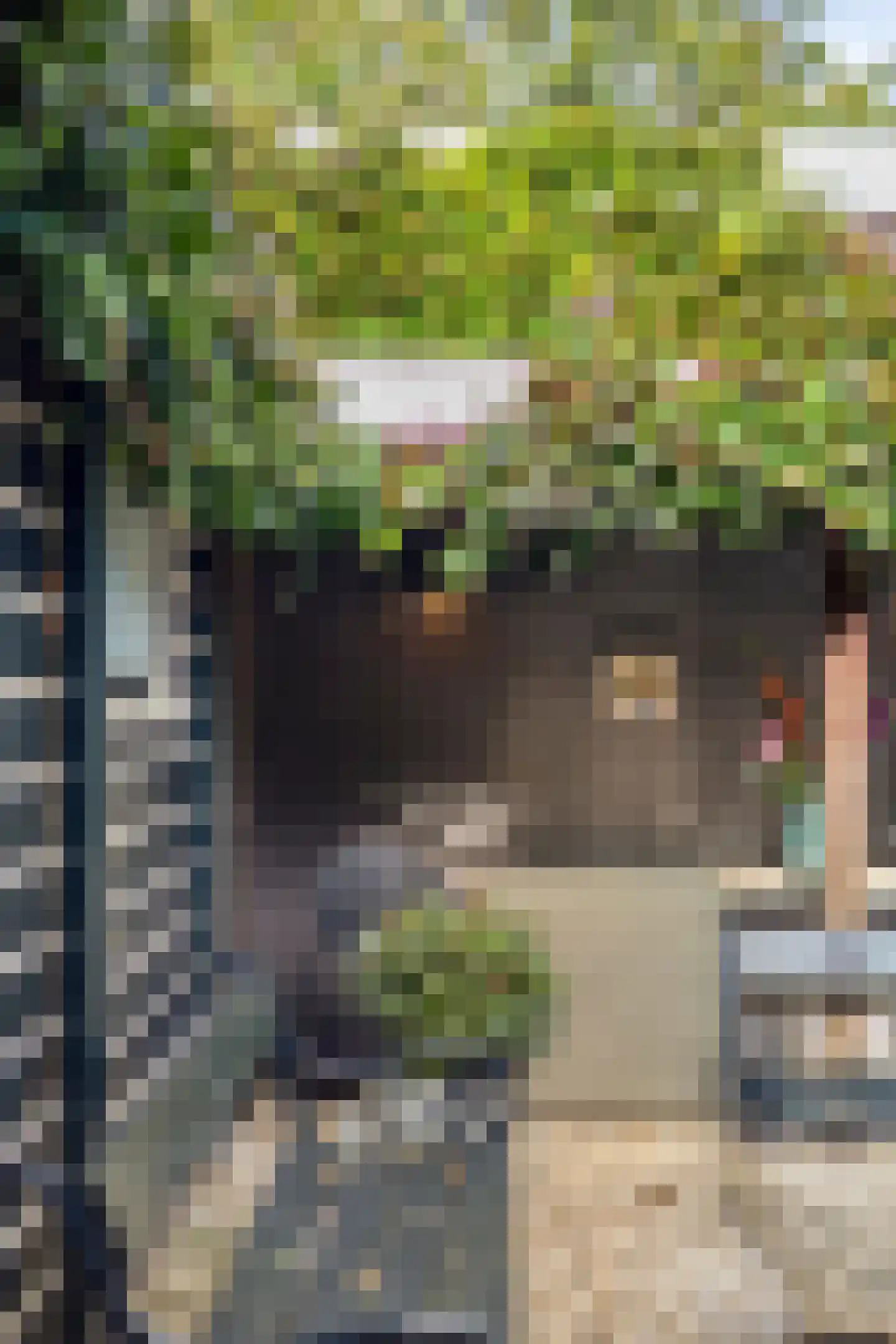 Van Haersmasingel 3 Drachten thumbnail 68