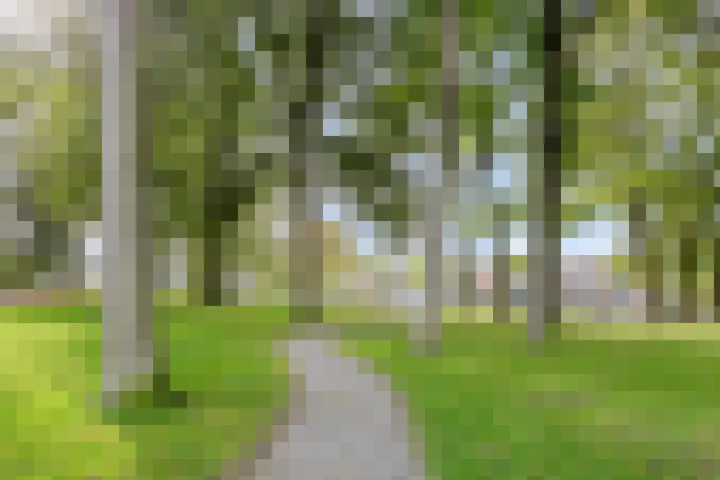 Van Haersmasingel 3 Drachten thumbnail 74