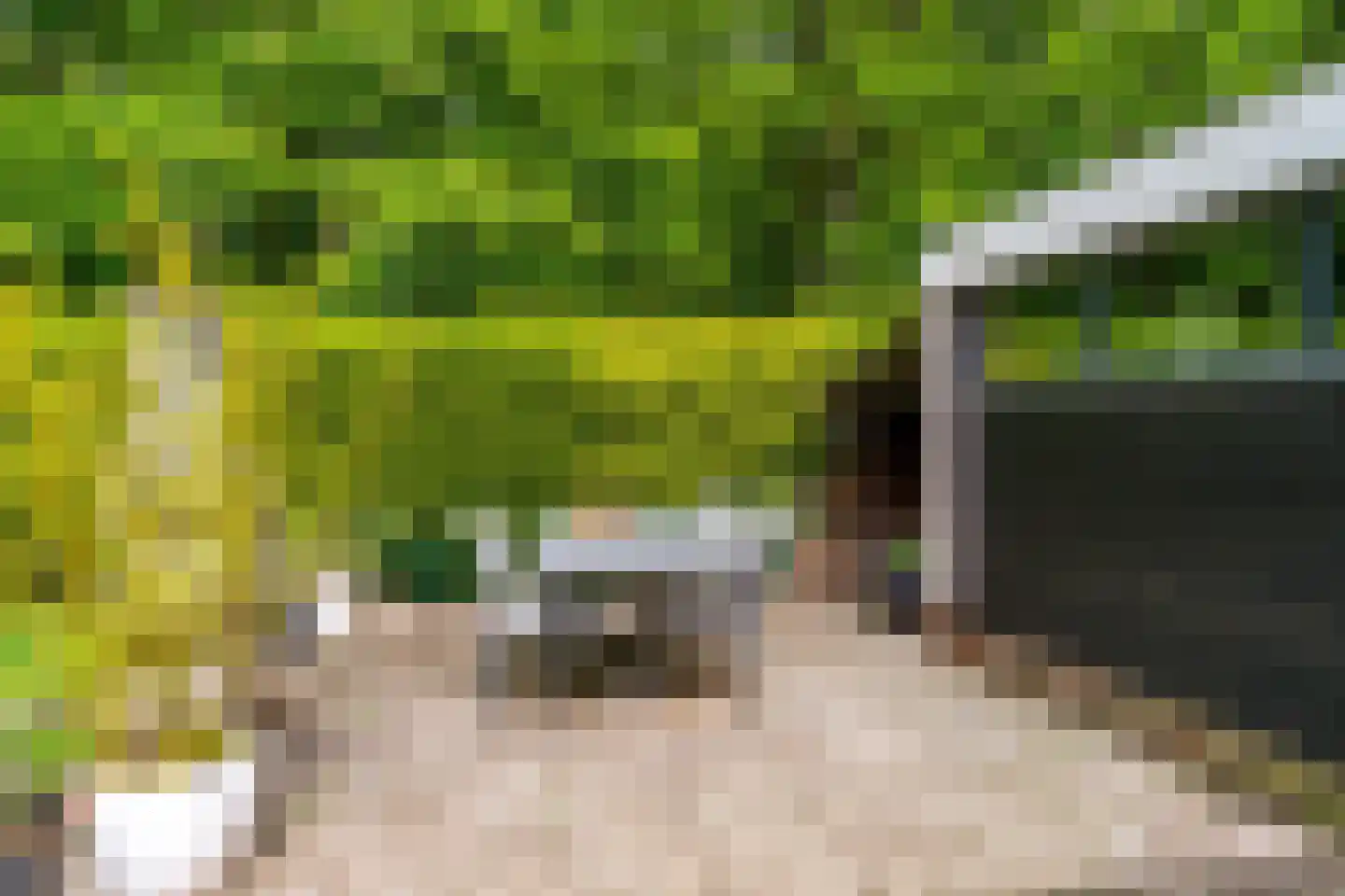 Van Haersmasingel 45 Oentsjerk thumbnail 18