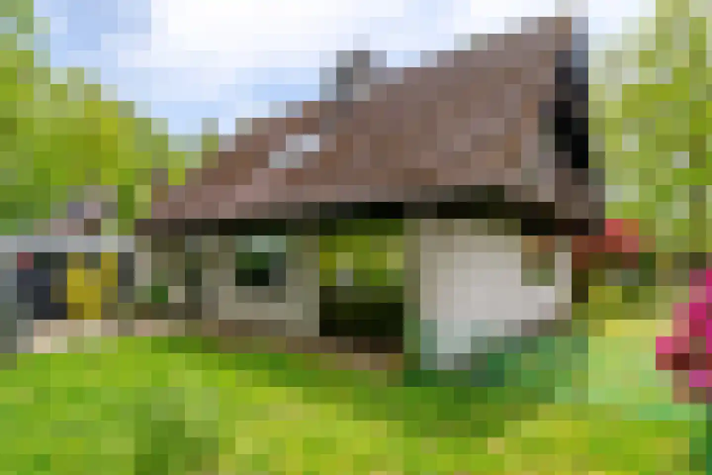 Van Haersmasingel 45 Oentsjerk thumbnail 21
