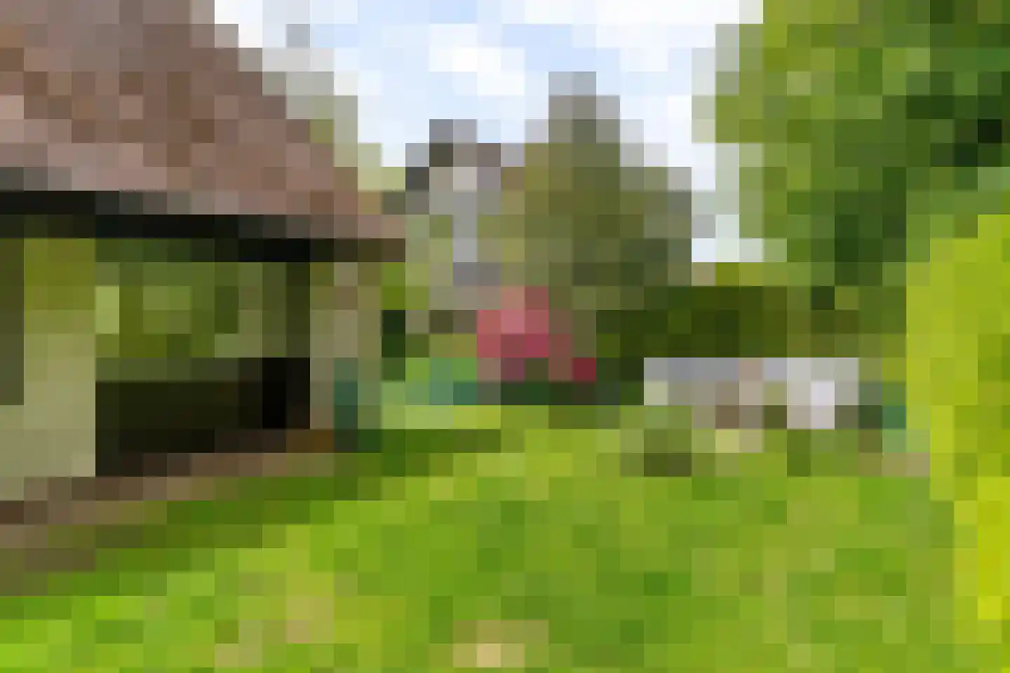 Van Haersmasingel 45 Oentsjerk thumbnail 23