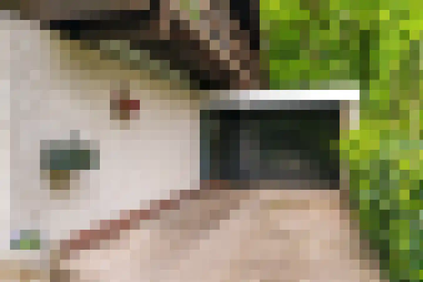 Van Haersmasingel 45 Oentsjerk thumbnail 24