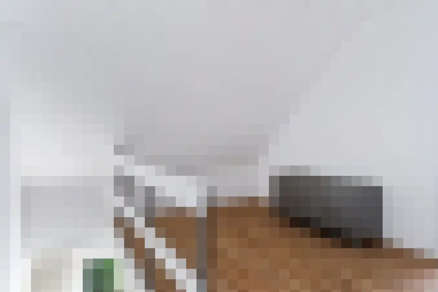 Van Haersmasingel 45 Oentsjerk thumbnail 29