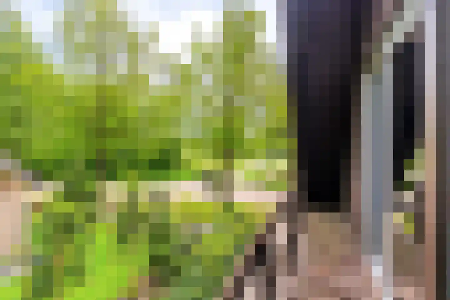 Van Haersmasingel 45 Oentsjerk thumbnail 33