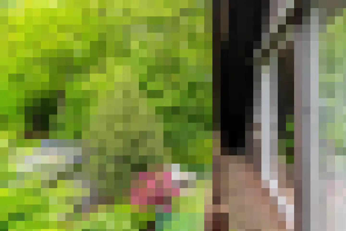 Van Haersmasingel 45 Oentsjerk thumbnail 36