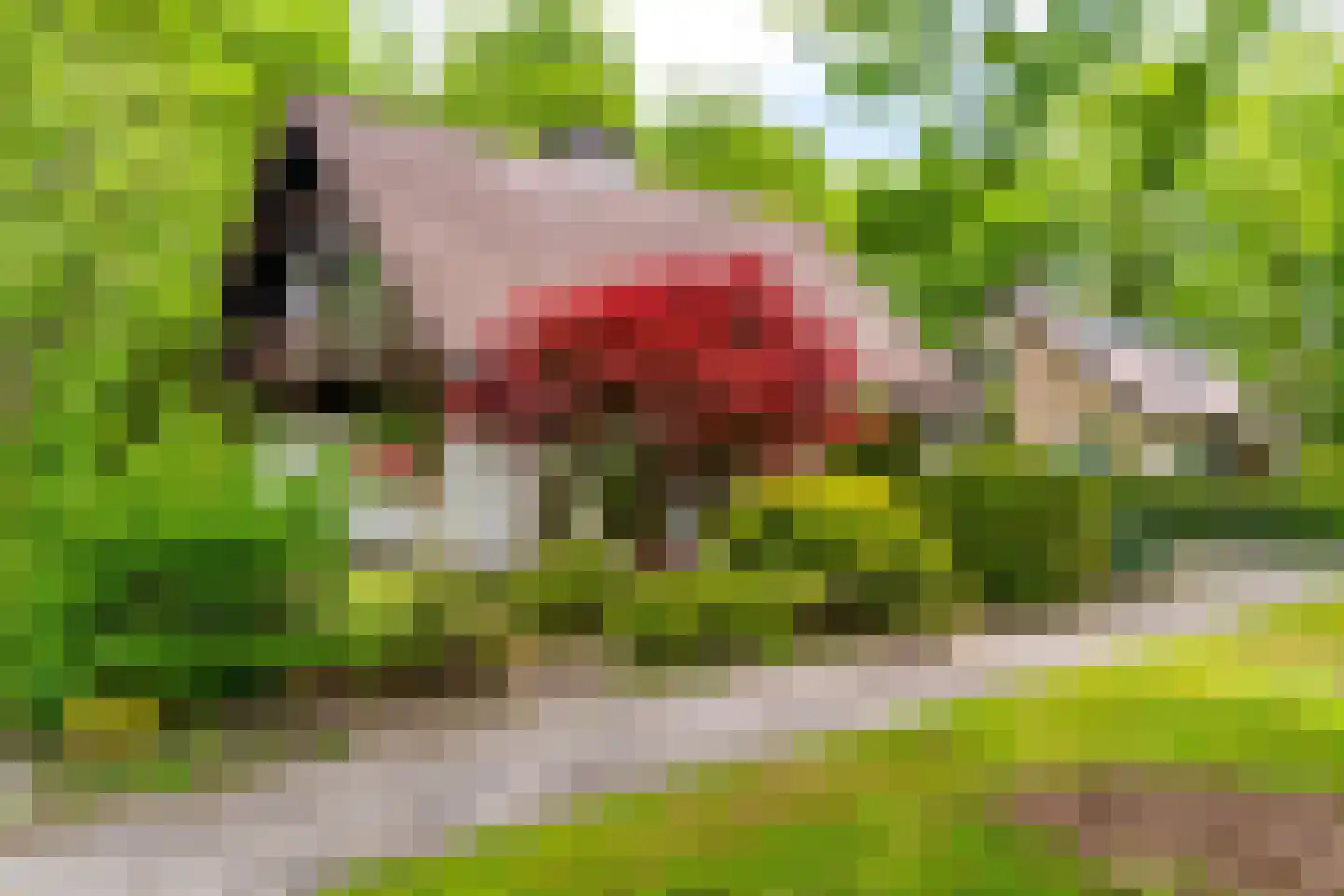 Van Haersmasingel 45 Oentsjerk thumbnail 42