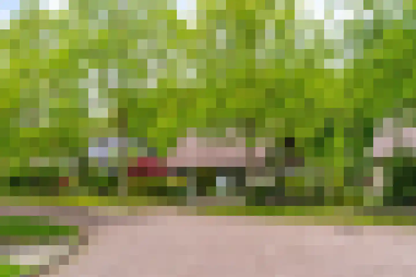 Van Haersmasingel 45 Oentsjerk thumbnail 44