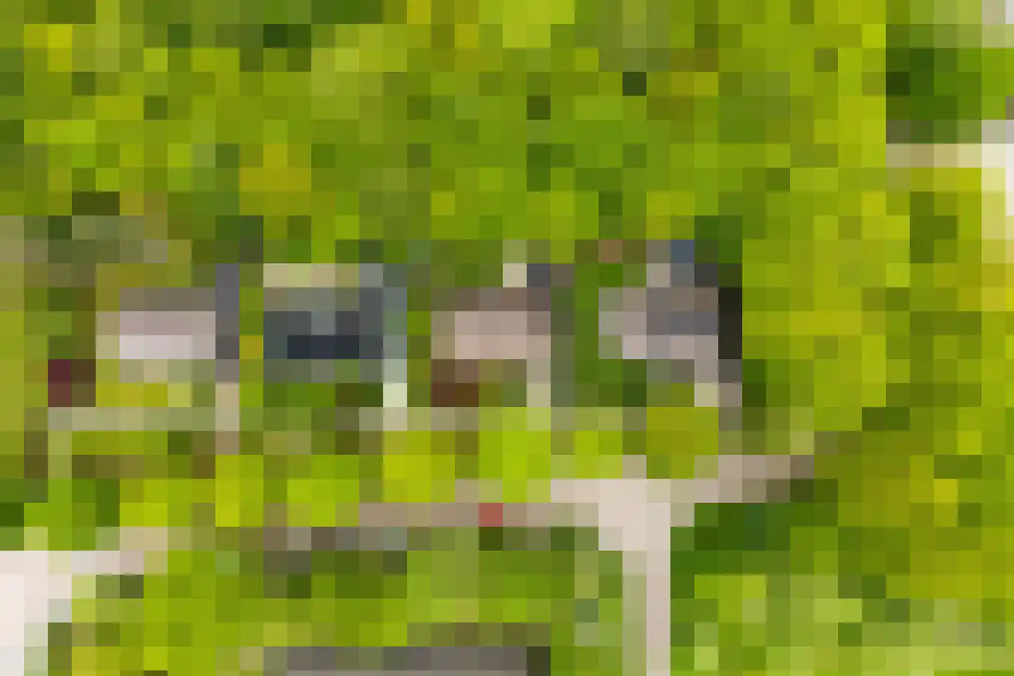 Van Haersmasingel 45 Oentsjerk thumbnail 51