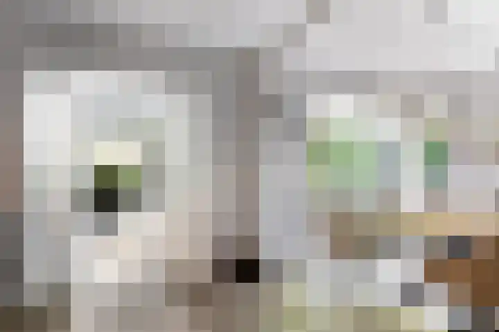 Van Haersmasingel 47 Oentsjerk thumbnail 12