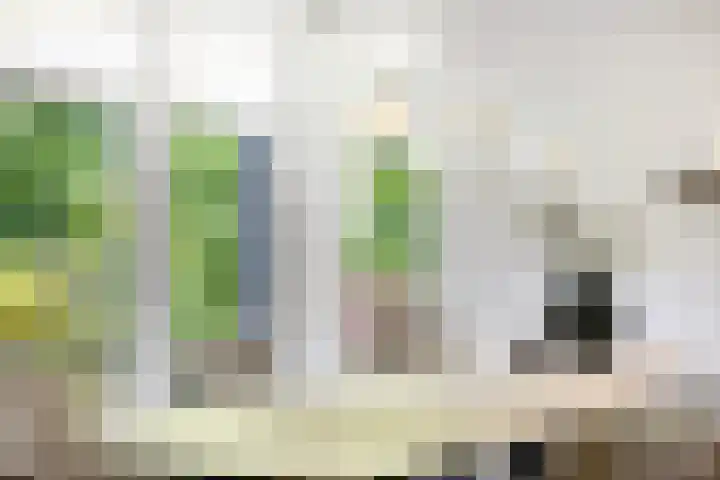 Van Haersmasingel 47 Oentsjerk thumbnail 14