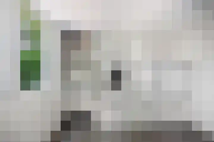Van Haersmasingel 47 Oentsjerk thumbnail 15